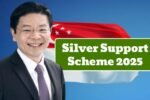 Silver Support Scheme 2025