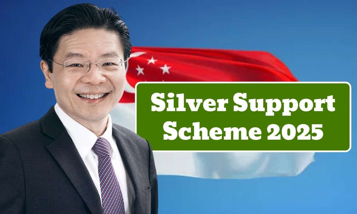 Silver Support Scheme 2025